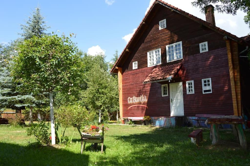 Cabanita Villa Întorsura Buzăului Eksteriør billede