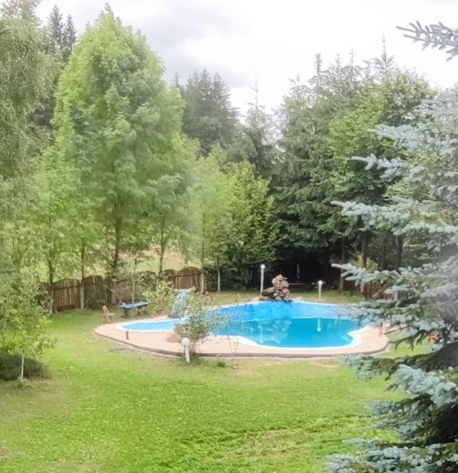 Cabanita Villa Întorsura Buzăului Eksteriør billede