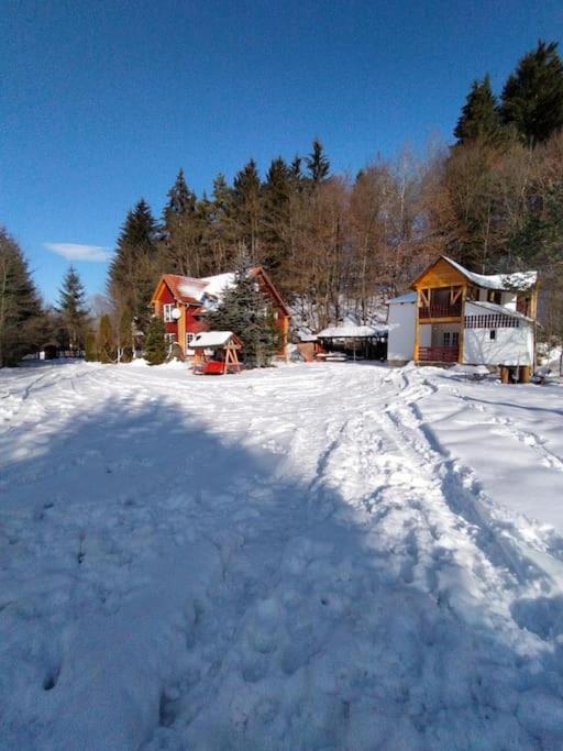 Cabanita Villa Întorsura Buzăului Eksteriør billede