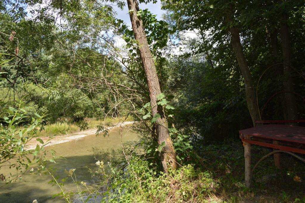 Cabanita Villa Întorsura Buzăului Eksteriør billede