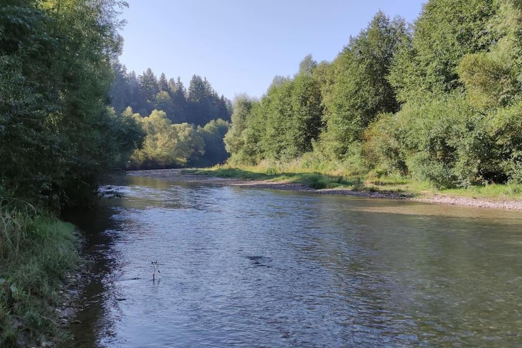 Cabanita Villa Întorsura Buzăului Eksteriør billede