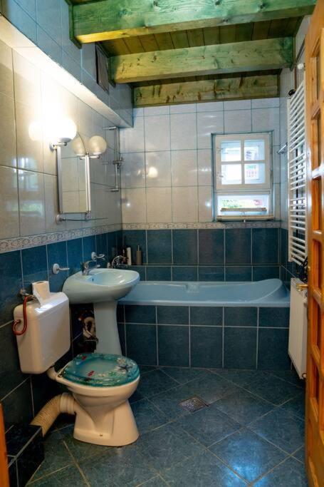 Cabanita Villa Întorsura Buzăului Eksteriør billede