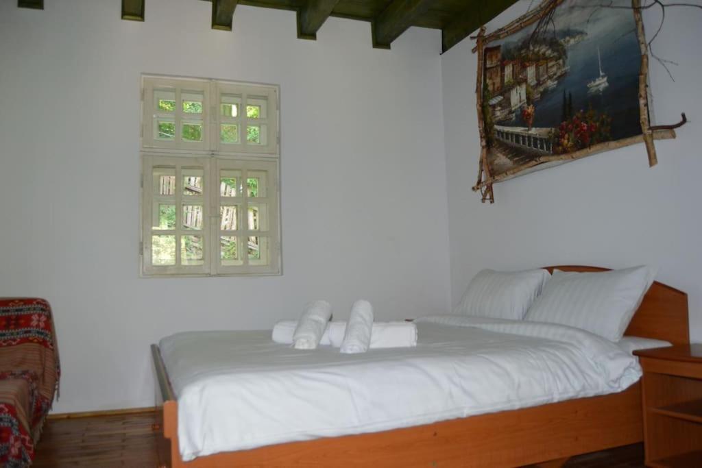 Cabanita Villa Întorsura Buzăului Eksteriør billede