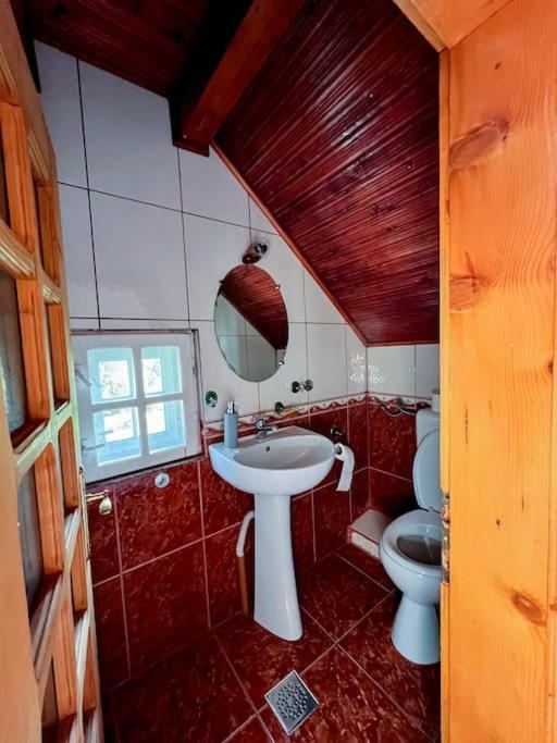 Cabanita Villa Întorsura Buzăului Eksteriør billede