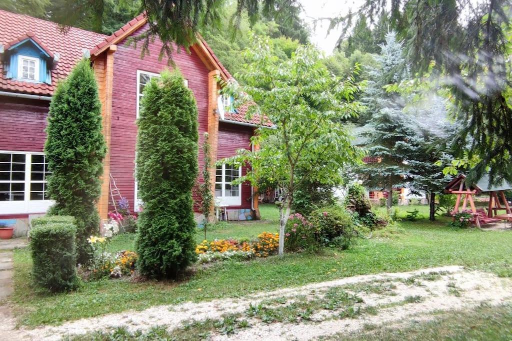 Cabanita Villa Întorsura Buzăului Eksteriør billede