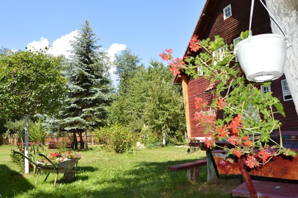 Cabanita Villa Întorsura Buzăului Eksteriør billede