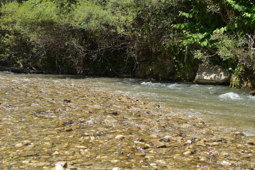 Cabanita Villa Întorsura Buzăului Eksteriør billede